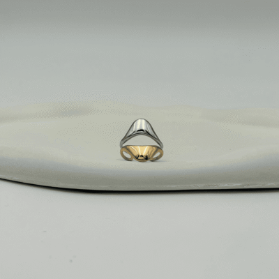 Golden Silver Twin Curve Adjustable Ring